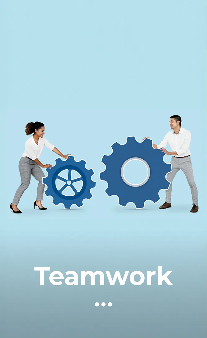 ZW-Pondicherry-Teamwork.webp